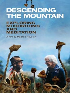 Descending The Mountain (2021)