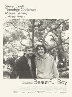 Beautiful Boy (2010)
