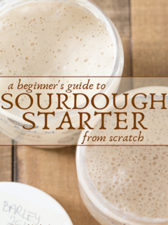 How to Make Sourdough Starter from Scratch (2021)