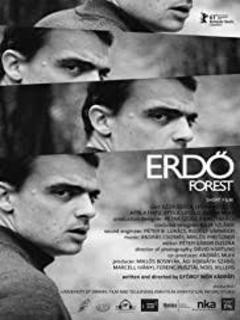 Forest (2011)