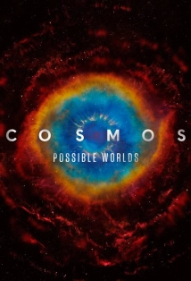 Cosmos Possible Worlds