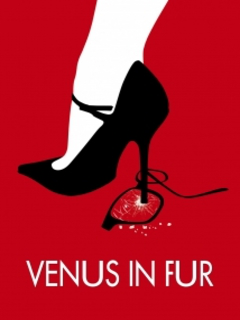 Venus in Fur (2013)
