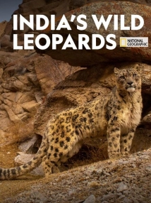 India's Wild Leopards (2020)