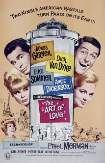 The Art of Love (1965)