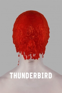 Thunderbird (2019)