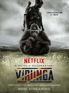 Virunga (2014)