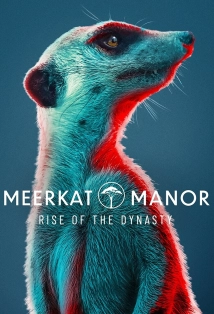 Meerkat Manor Rise Of The Dynasty