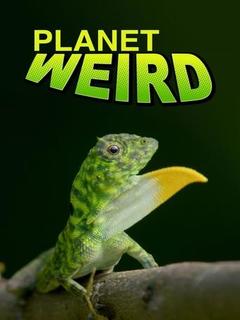 Planet Weird (2025)