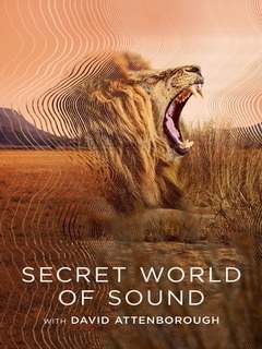 Secret World Of Sound (2024)