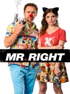 Mr Right (2015)
