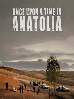 Bir Zamanlar Anadolu'da (2011)