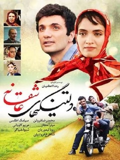 دلتنگی‌های عاشقانه (2014)