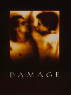 Damage (1992)