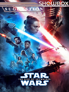 Star Wars: The Rise of Skywalker (2019)