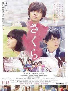 Sakura (2024)