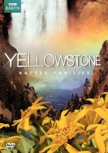 Yellowstone (2018)