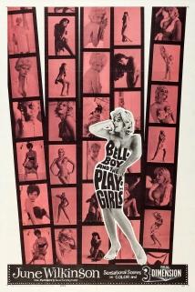 The Bellboy and the Playgirls (1962)