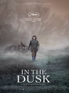 In The Dusk (2019)