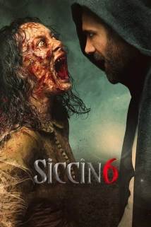 Siccin 6 (2019)