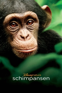 Chimpanzee (2012)