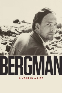 Bergman - A Year in a Life (2018)