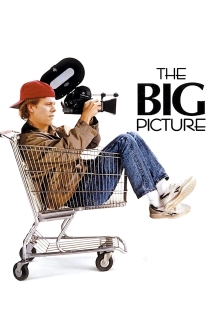 The Big Picture (2010)