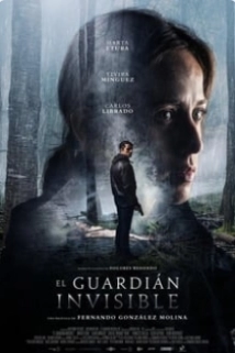 The Invisible Guardian (2017)