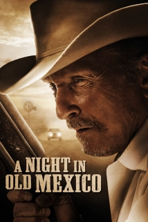 A Night in Old Mexico (1915)