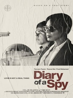 Diary Of A Spy (2022)