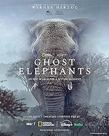 Ghost Elephants (2026)