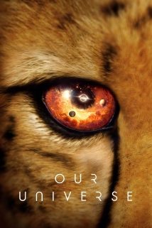 Our Universe (2026)